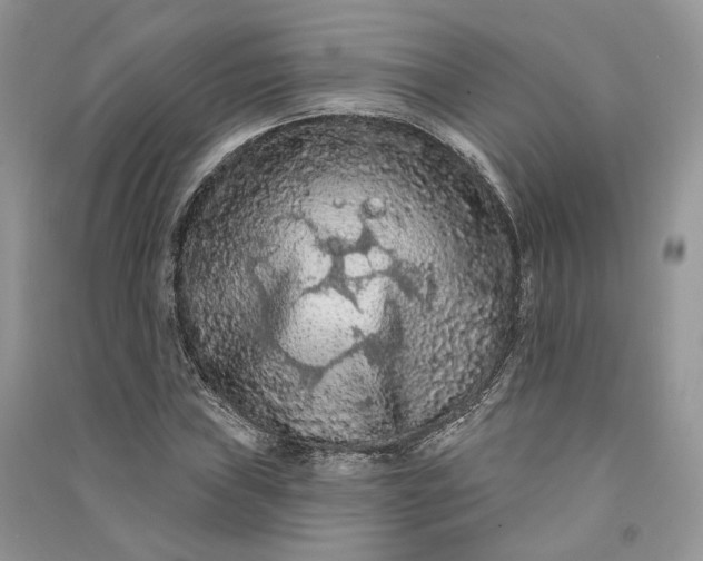 X0000090911019200708131408