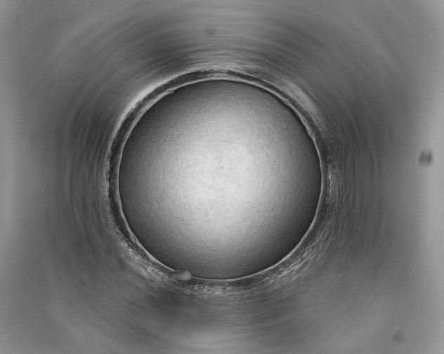 X0000090911020200708131408