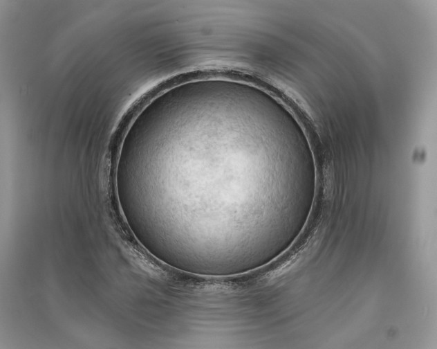 X0000090911021200708131408