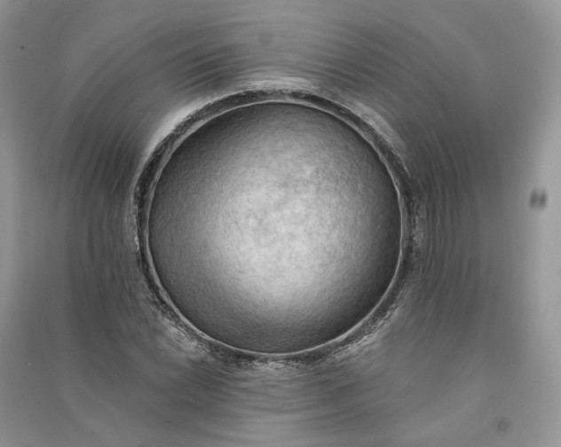 X0000090911022200708131408