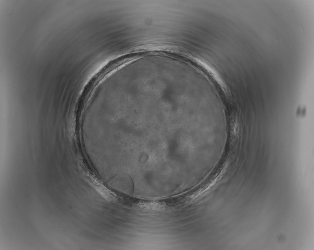 X0000090911023200708131408