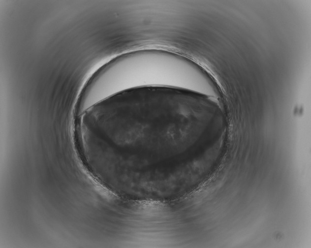 X0000090911024200708131408