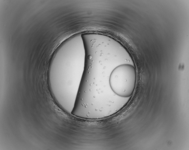 X0000090911025200708131408