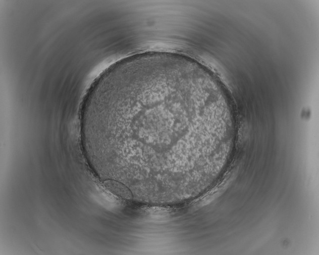 X0000090911027200708131408