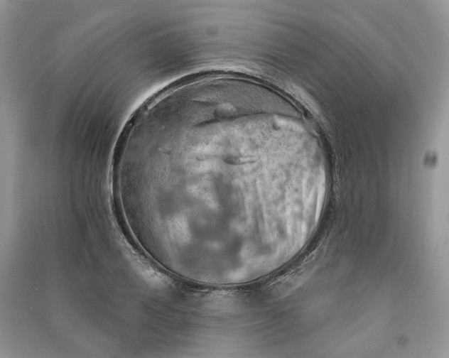 X0000090911028200708131408