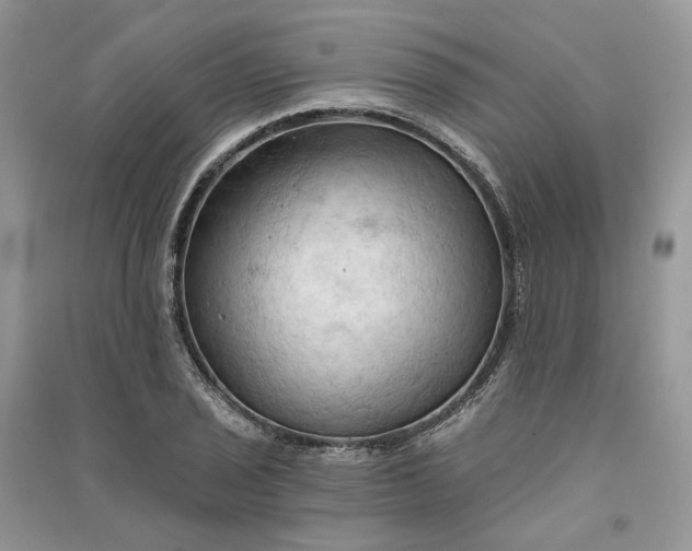 X0000090911029200708131408