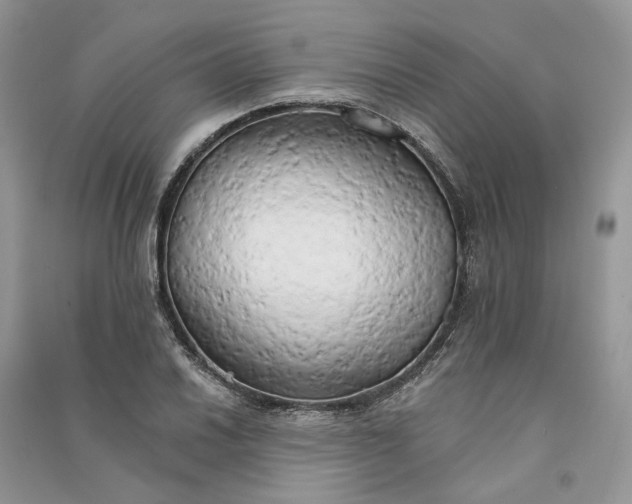 X0000090911030200708131408