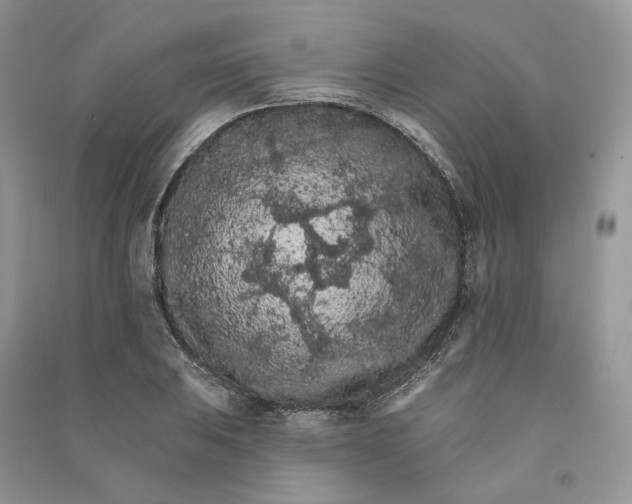 X0000090911031200708131408