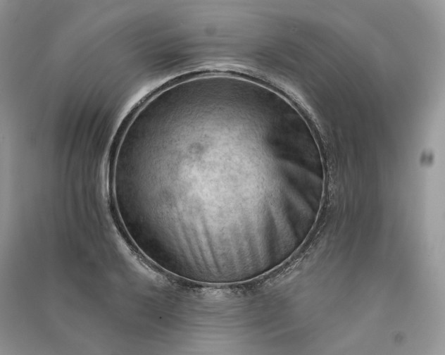 X0000090911032200708131408