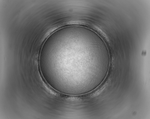 X0000090911033200708131408