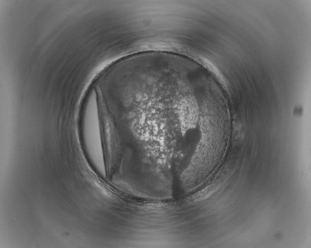 X0000090911035200708131408