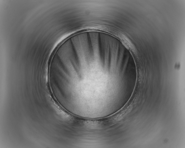 X0000090911036200708131408