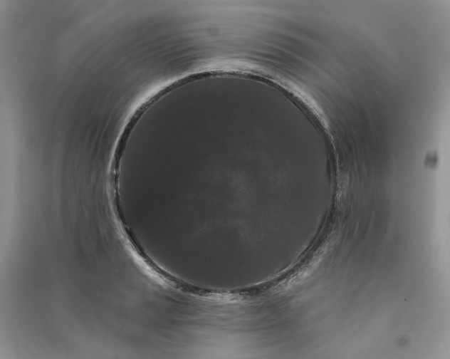 X0000090911037200708131408