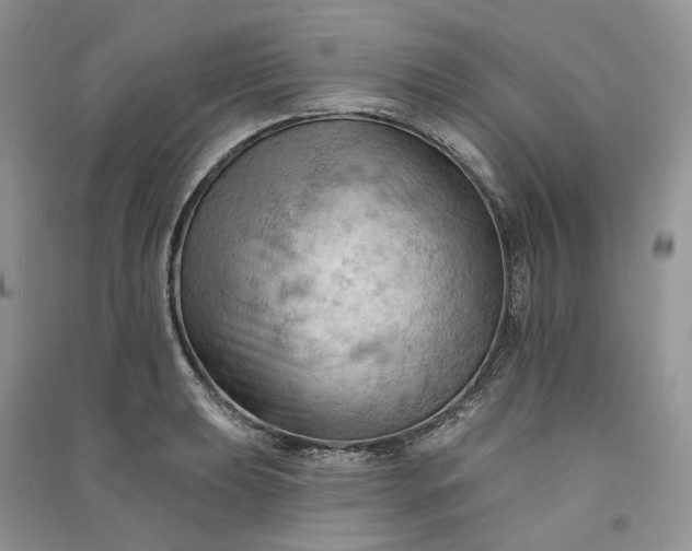 X0000090911039200708131408