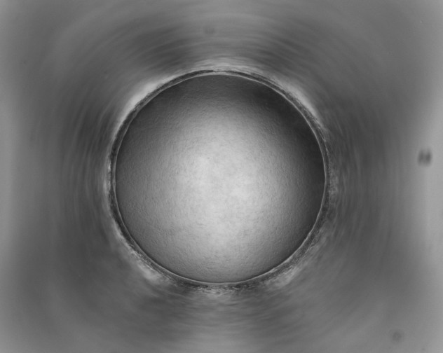 X0000090911040200708131408