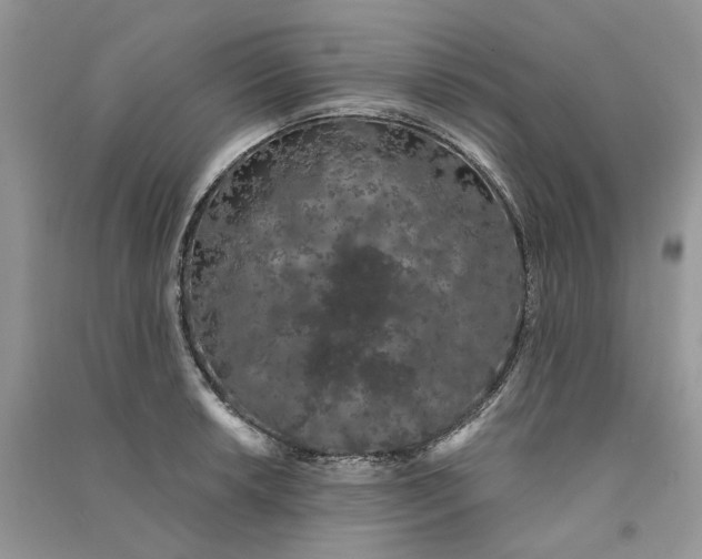 X0000090911042200708131409