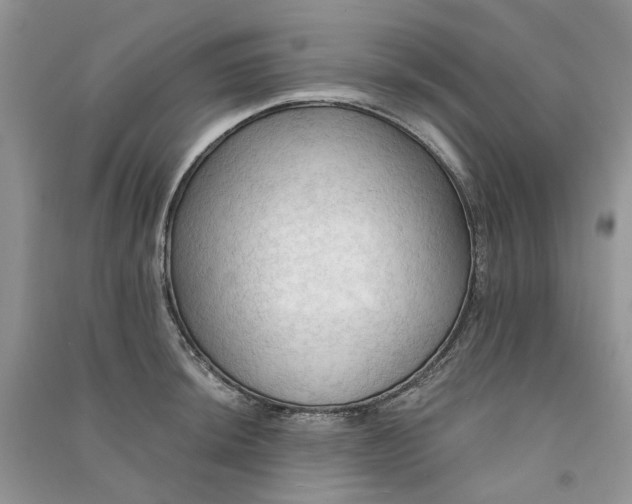 X0000090911044200708131409