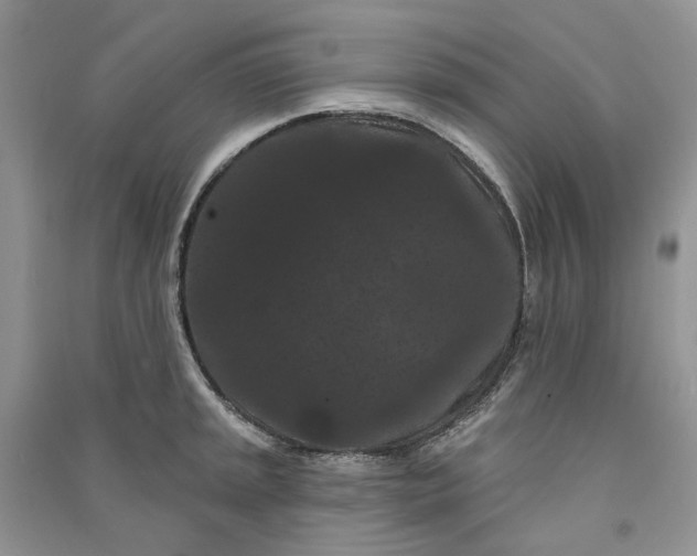 X0000090911045200708131409