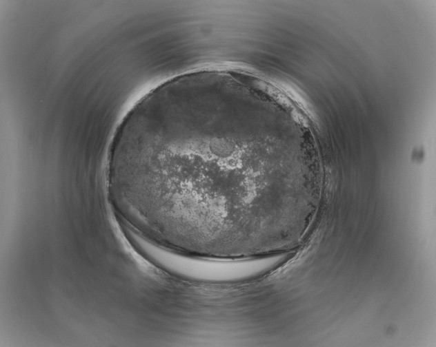 X0000090911046200708131409