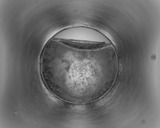 X0000090911047200708131409