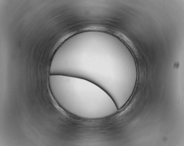 X0000090911049200708131409