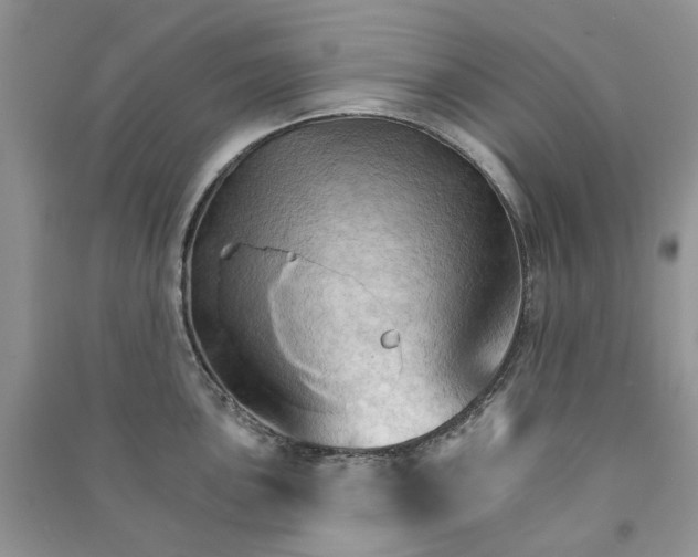 X0000090911051200708131409