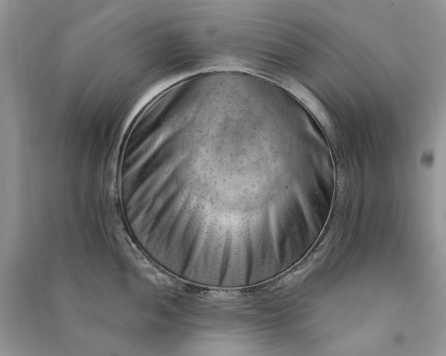 X0000090911052200708131409