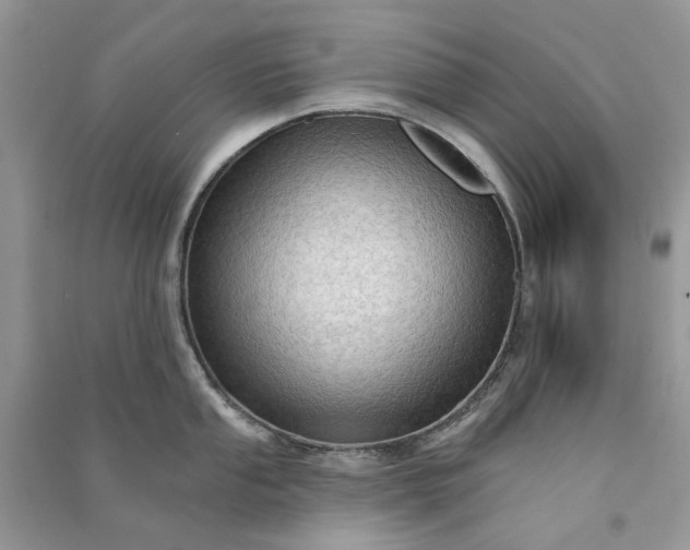 X0000090911053200708131409