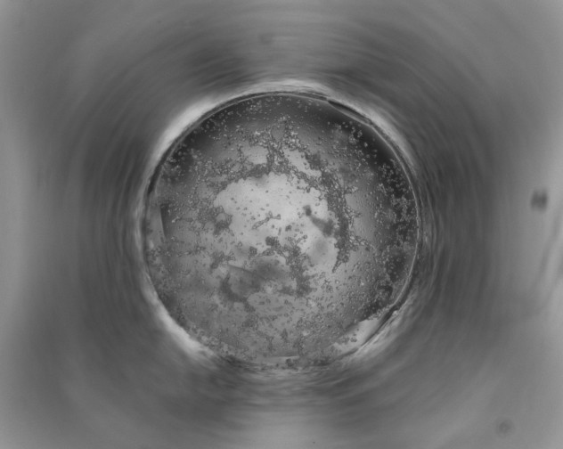 X0000090911054200708131409