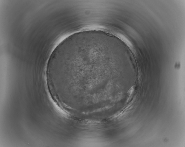 X0000090911055200708131409