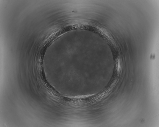 X0000090911060200708131408