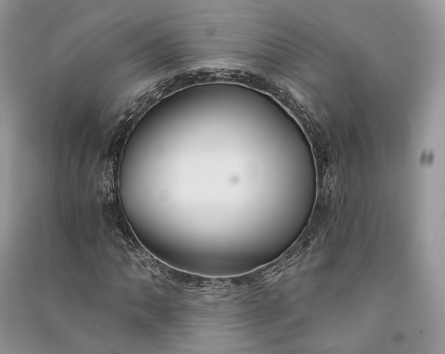 X0000090911062200708131408