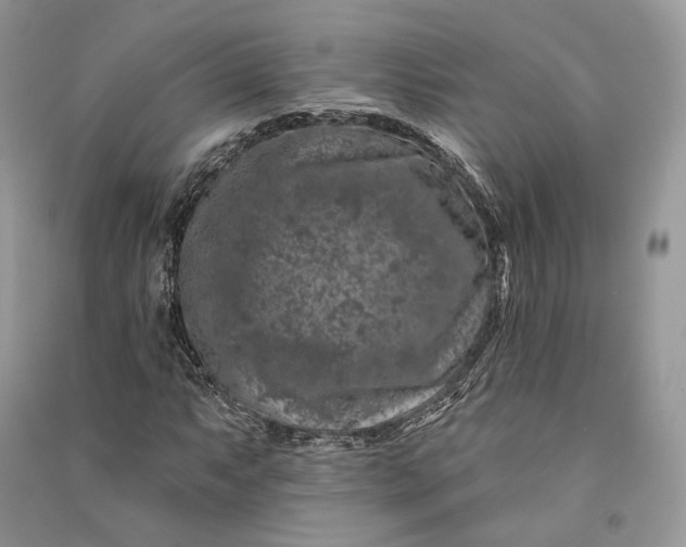 X0000090911063200708131408