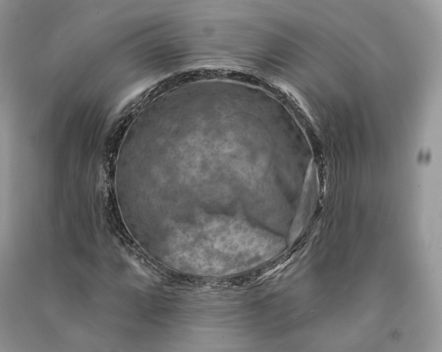 X0000090911064200708131408