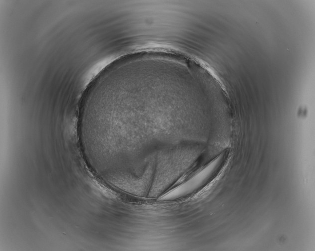 X0000090911066200708131408