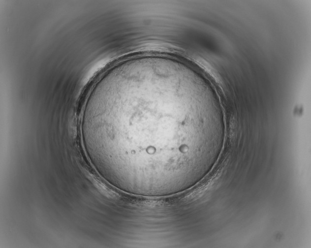 X0000090911067200708131408