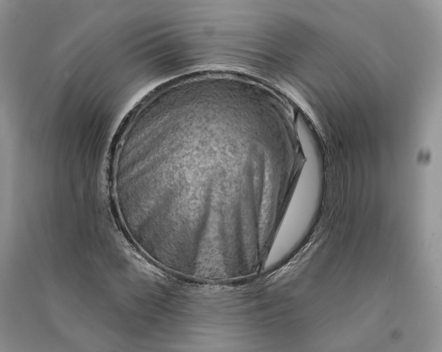 X0000090911068200708131408