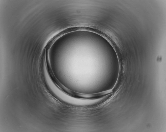 X0000090911069200708131408