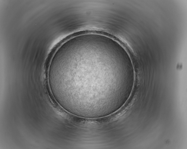 X0000090911070200708131408