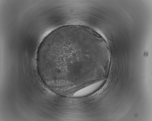 X0000090911071200708131408