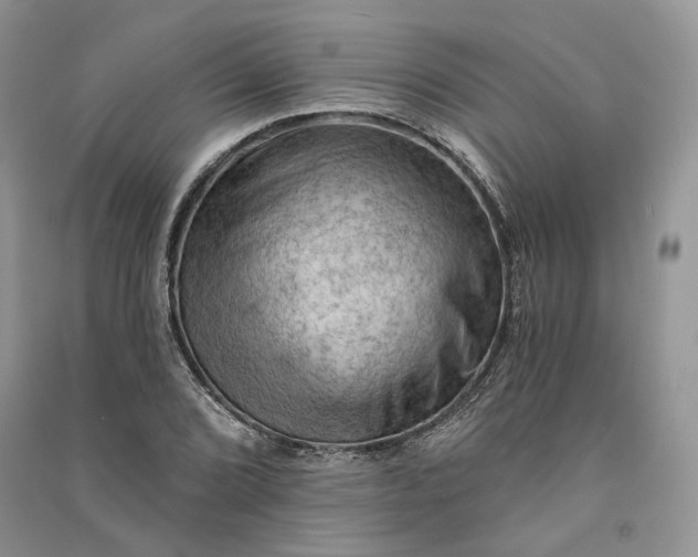 X0000090911072200708131408