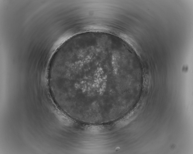 X0000090911074200708131408