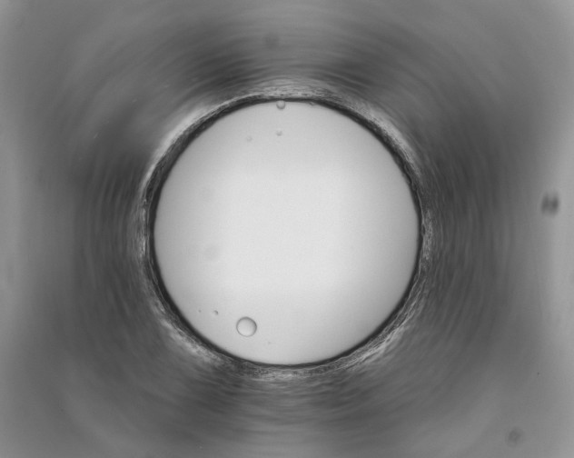 X0000090911075200708131408