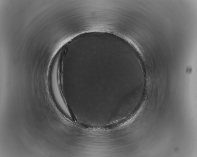 X0000090911077200708131408