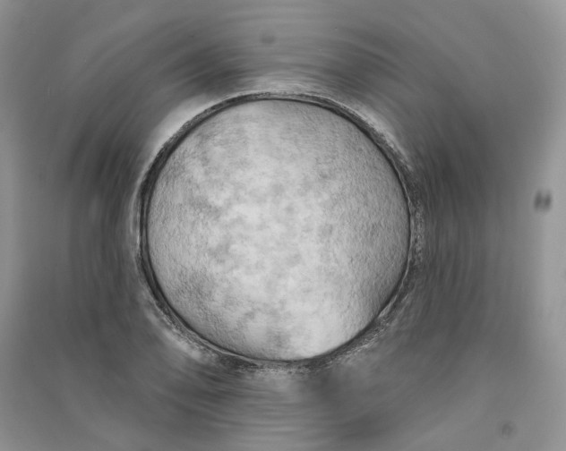 X0000090911078200708131408