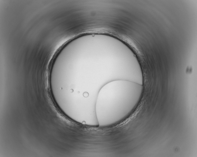 X0000090911079200708131408