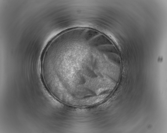 X0000090911080200708131408