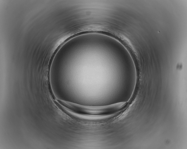 X0000090911081200708131408