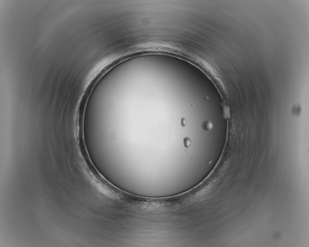 X0000090911082200708131408