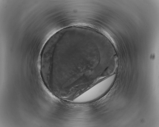 X0000090911084200708131408